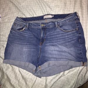LAST CHANCE SALE !!Torrid Plus Size Jean Shorts